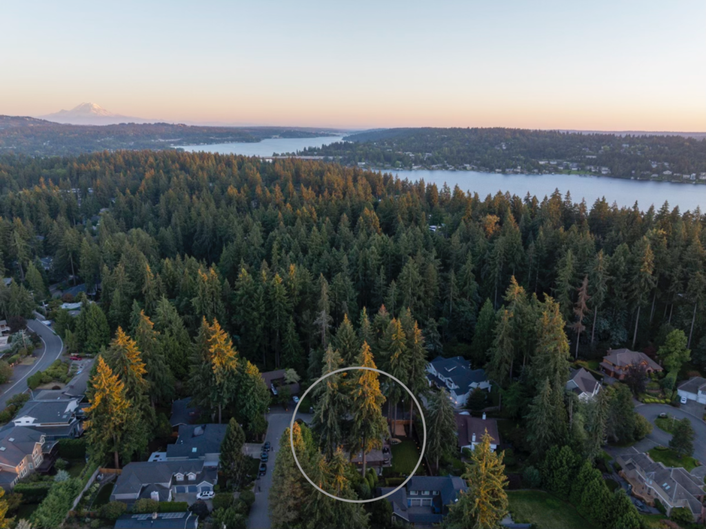 Bellevue urban retreat