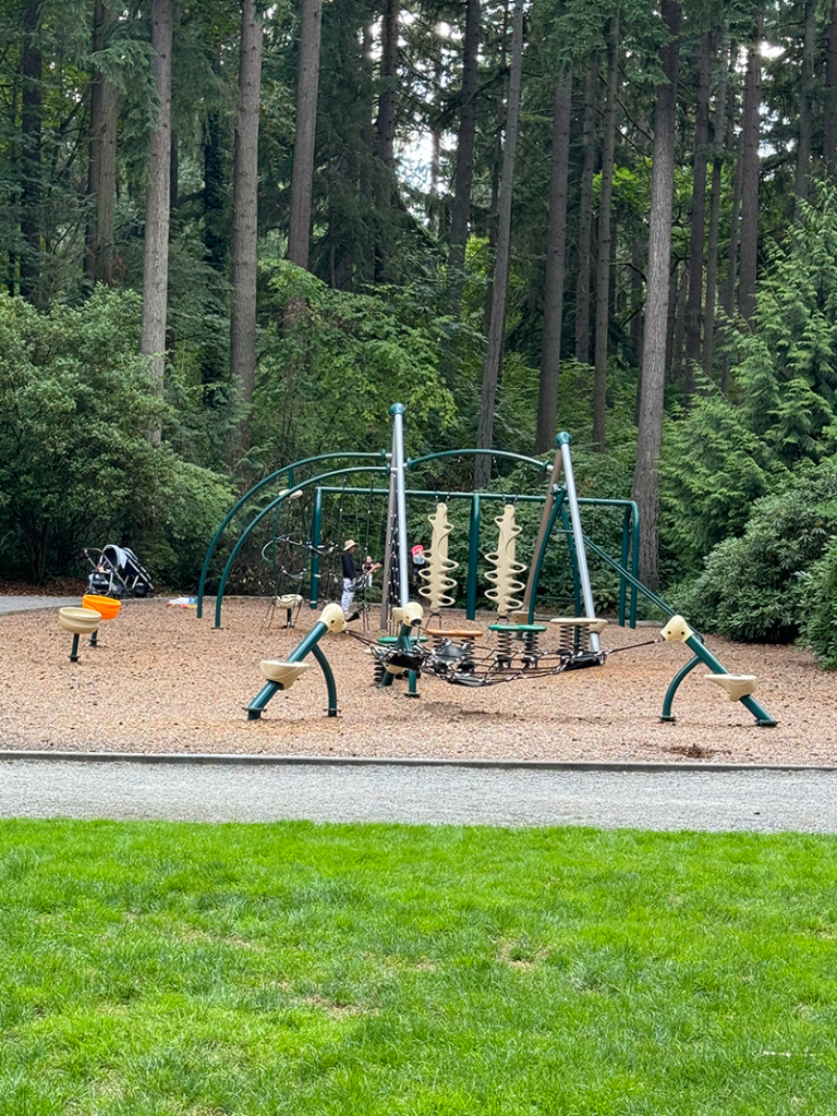 Bellevue Enatai neighborhood Killarney park